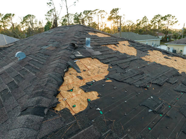 Best Cold Roofs  in Bennington, NE
