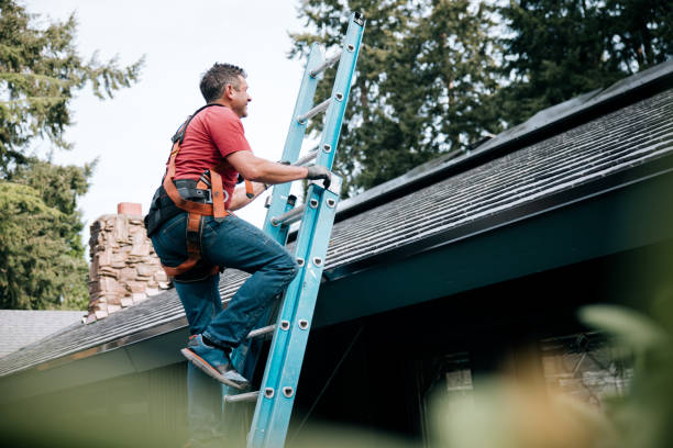 Best Roof Moss and Algae Removal  in Bennington, NE